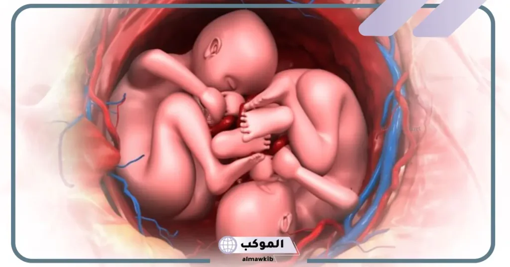 تجربتي للحمل بتوأم اولاد والنتيجة 6 أيام التبويض للحمل بتوأم ذكور