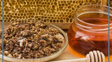 مدة استخدام العكبر