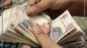 معاشات نوفمبر