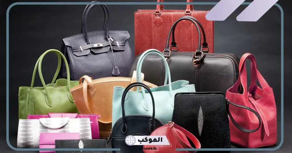 تفسير حلم شنطة السفر للعزباء