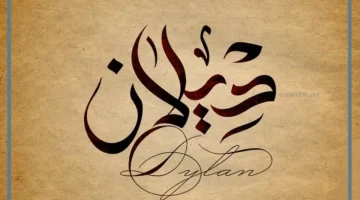 معني ديلان