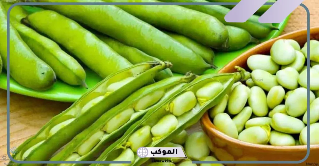 رؤية الفول الاخضر في المنام للعزباء