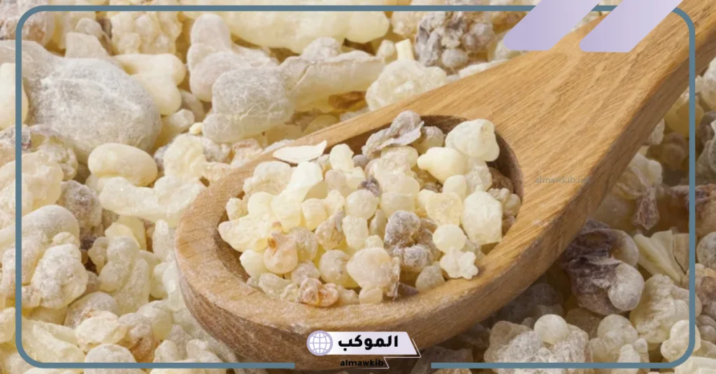 تجربتي مع شرب المر على الريق للتلخص من جرثومة المعدة 6 شرب منقوع المرة للالتهابات