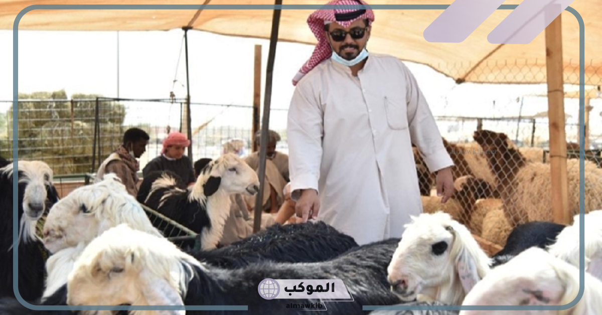 اصرف الدعم.. تحديد موعد صرف دعم المواشي في السعودية والشروط 5 شروط وموعد صرف دعم المواشي في السعودية لشهر أكتوبر 2024