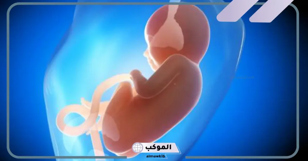 هل نقص ماء الجنين يسبب الوفاة؟
