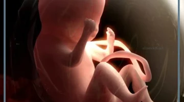 نقص الماء في الرحم