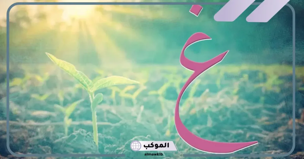 اكله بحرف الغين. اسم أكله تبدأ بحرف غ 6 خضار بحرف غ