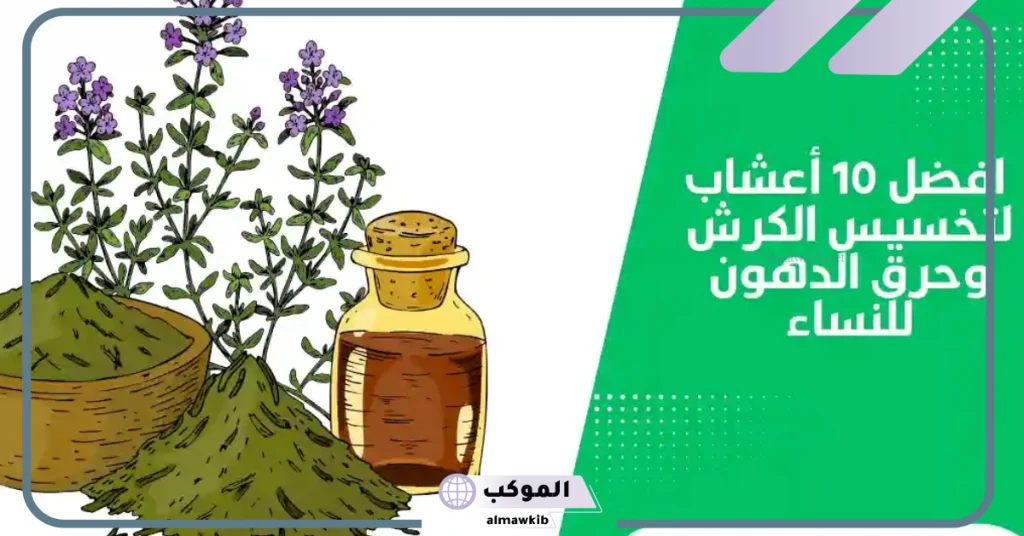 كيفية التخلص من الكرش نهائي
