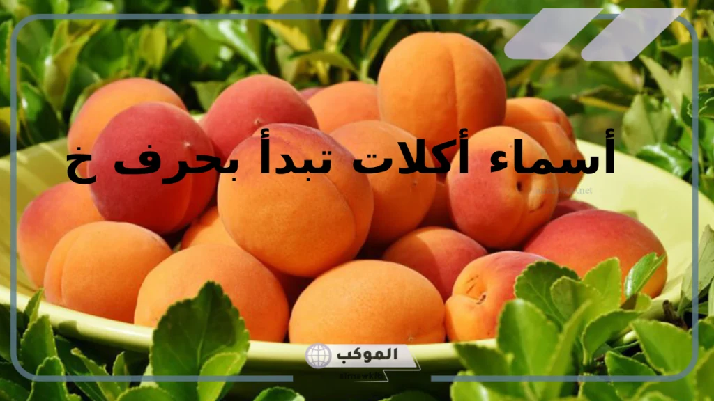 اسم اكله بحرف الخاء.. أسماء أكلات تبدأ بحرف خ 6 أكلات بحرف الخاء أكثر من أربعة حروف