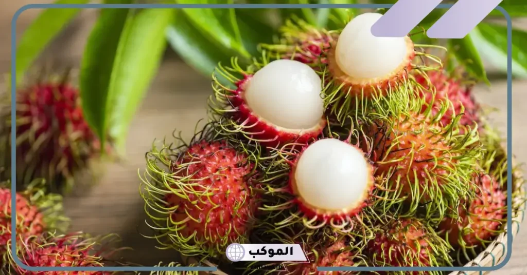 عشاء بحرف الراء