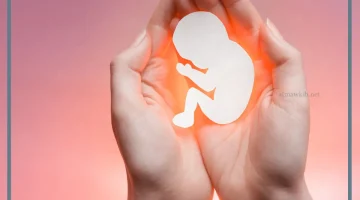 الإجهاض بالأعشاب