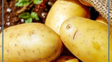 البطاطا في الاحلام