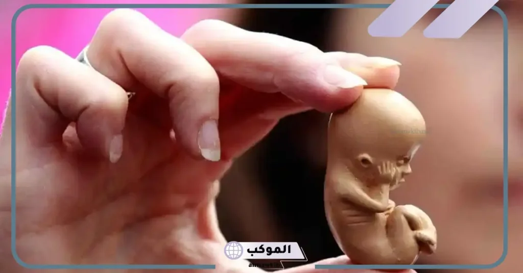 تفسير حلم رؤية الجنين في المنام لابن سيرين 6 رؤية وجه الجنين في المنام للحامل