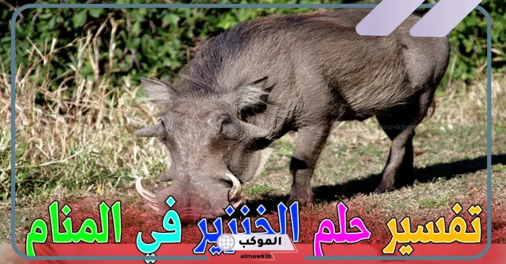رؤية الخنزير في المنام للمتزوجة