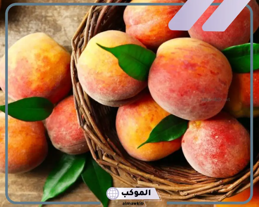 تفسير رؤية الدراق في المنام لابن سيرين