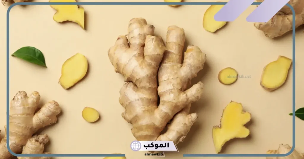 الزنجبيل للحمل