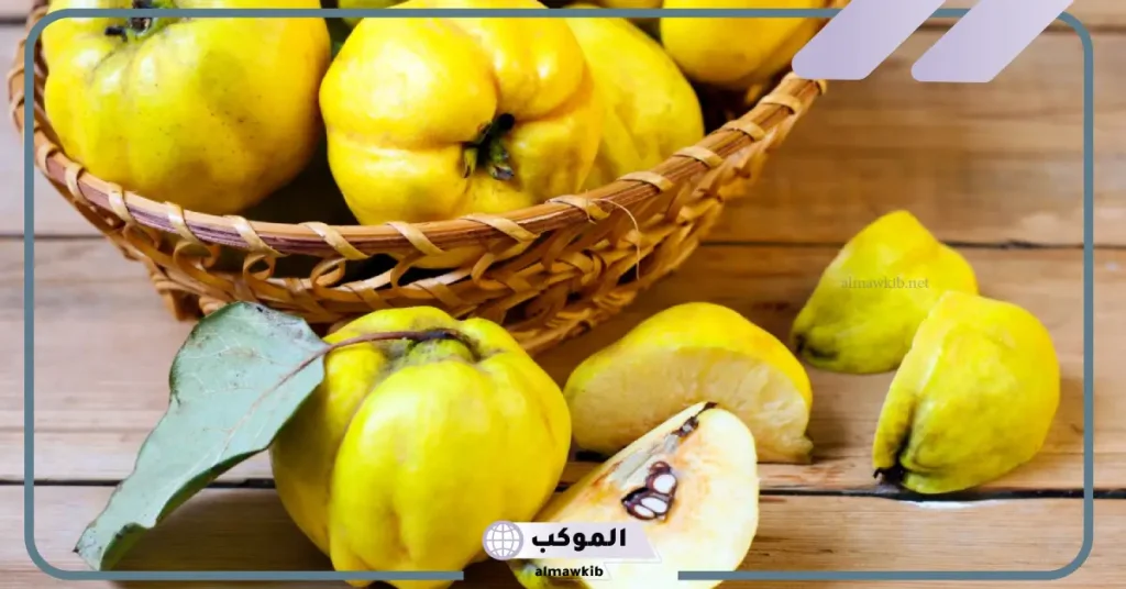 تجربتي مع السفرجل وانا حامل مفيد جدًا للجنين 5 فوائد السفرجل للحامل في الشهر الثالث