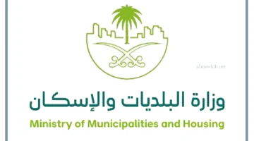 اللائحة التنفيذية السعودية