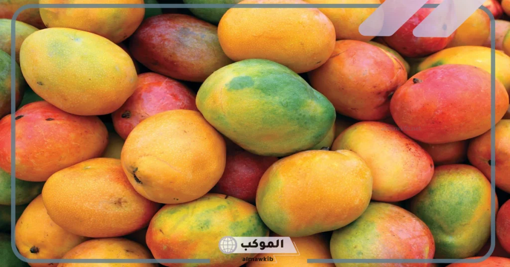 تفسير رؤية حلم المانجو في المنام لابن سيرين.. رمز المانجو 5 رؤية المانجو في المنام للمتزوجة