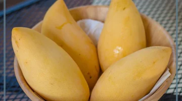 المانجو في الحلم