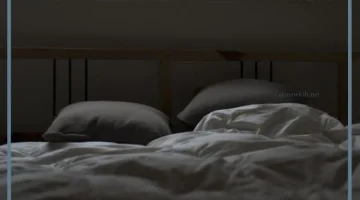 المهبل في الحلم