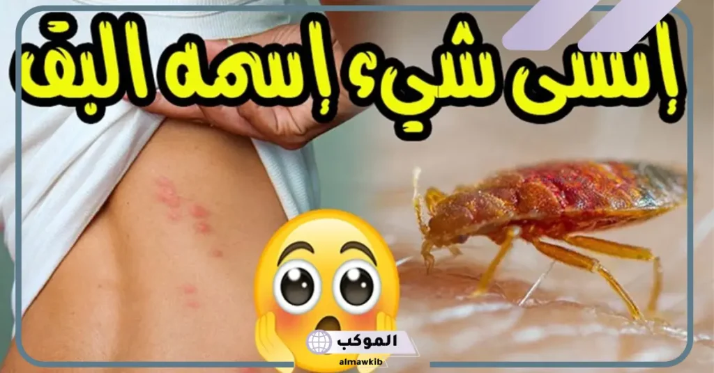 ماذا يكره البق