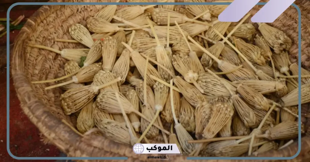 بذور الخلة لعلاج حصوات الكلى