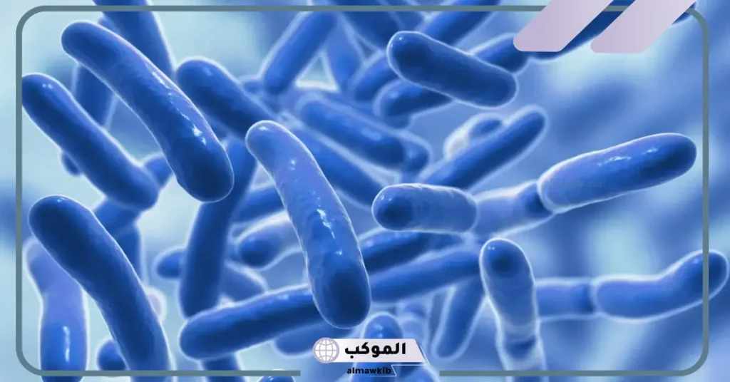 ما هي البكتيريا النافعة؟