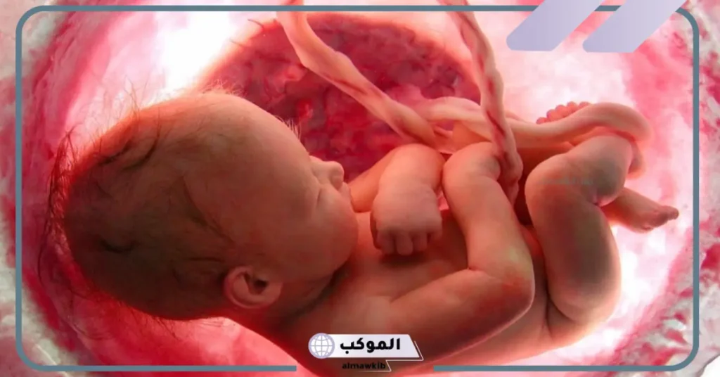 تفسير حلم حركة الجنين في البطن للعزباء