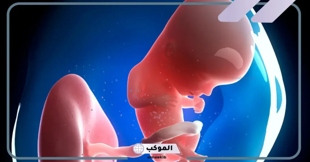 رؤية الجنين يتحرك في البطن في المنام للمتزوجة