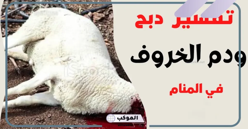 تفسير حلم رؤية ذبح الخروف في المنام لابن سيرين والنابلسي 5 تفسير ذبح الخروف في المنام للرجل
