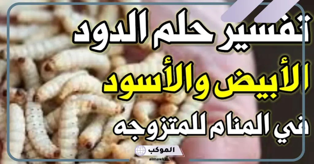 رؤية حلم الدود في الأكل في المنام للعزباء والمتزوجة لابن سيرين 5 رؤية الدود في المنام للعزباء