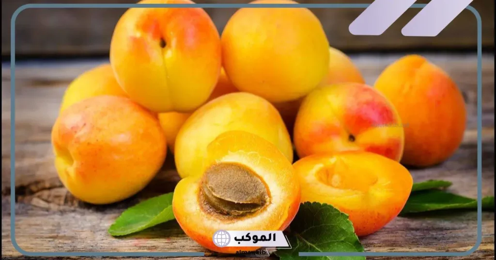 تفسير اكل المشمش في المنام للعزباء والمتزوجة لابن سيرين 5 رؤية المشمش في المنام للمرأة المتزوجة