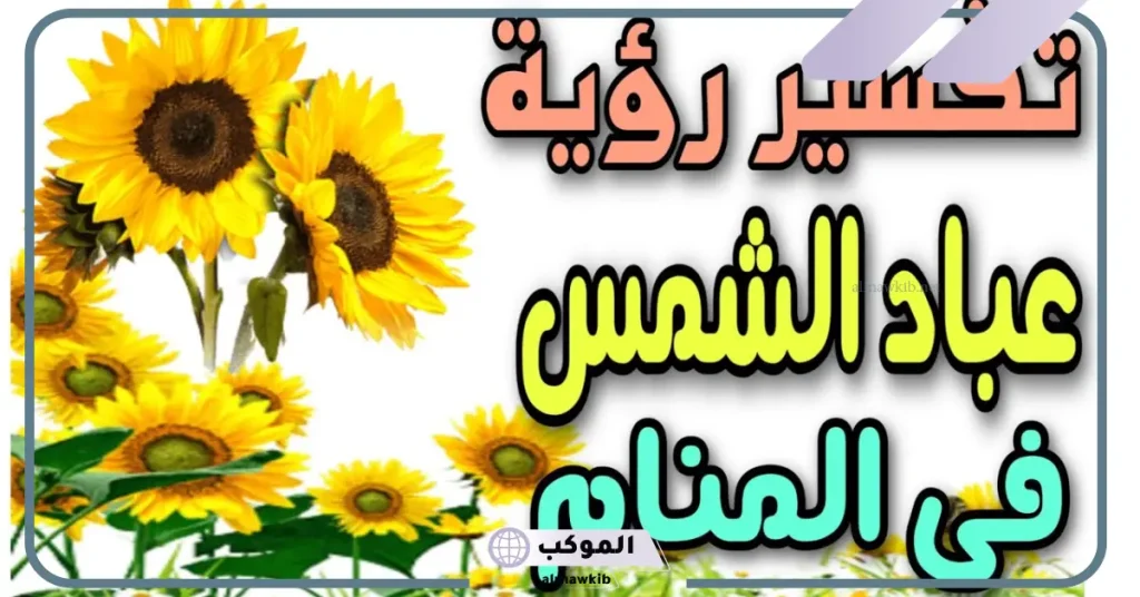 تفسير رؤية بزر عباد الشمس في الحلم لابن سيرين 5 رؤية بذور عباد الشمس في المنام للعزباء