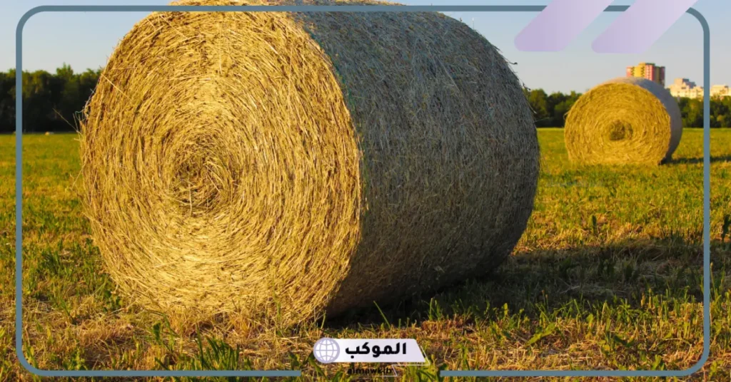 تفسير رؤية التبن في المنام للنابلسي