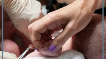 حلمت بولادة