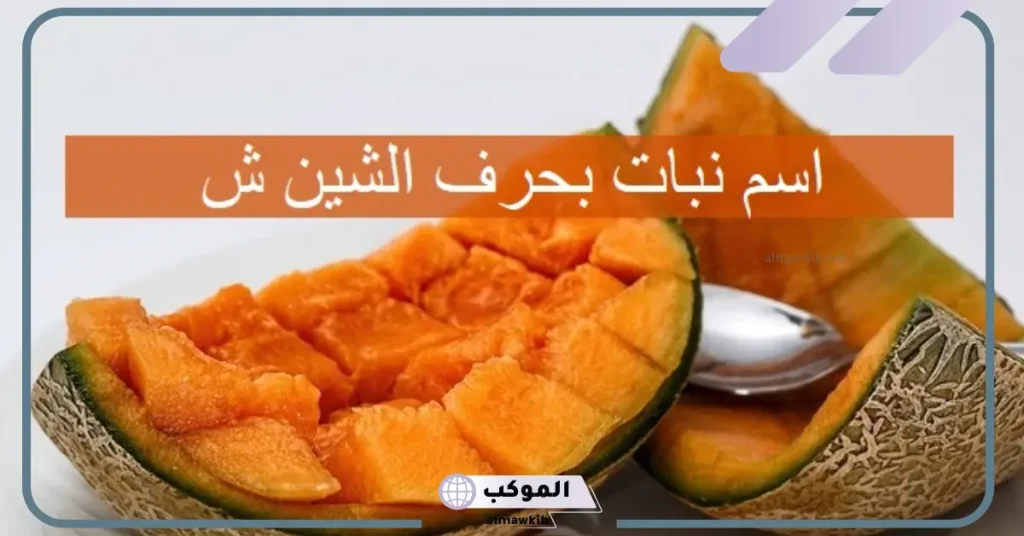 مشروب بحرف الشين