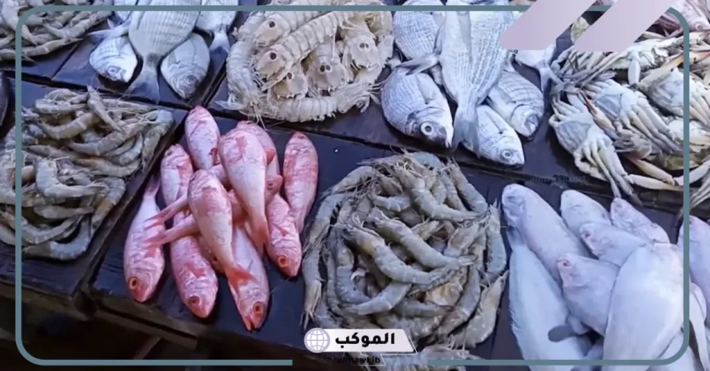 رؤية المأكولات البحرية في المنام لابن سيرين على ماذا تدل؟ 6 تفسير حلم أكل السمك مع الأقارب للمتزوجة