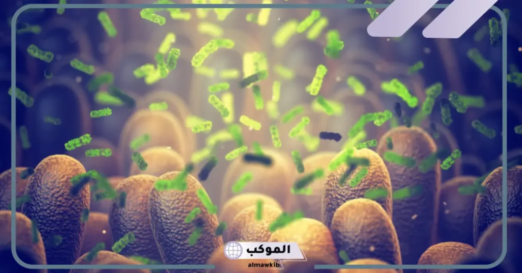 أعراض نقص البكتيريا النافعة