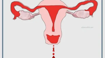 دورة شهرية في الحلم