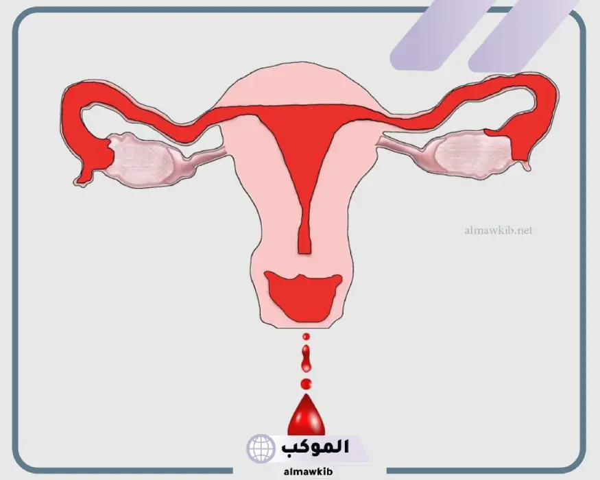 رؤية الدورة الشهرية في الحلم لابن سيرين وأبرز الفقهاء