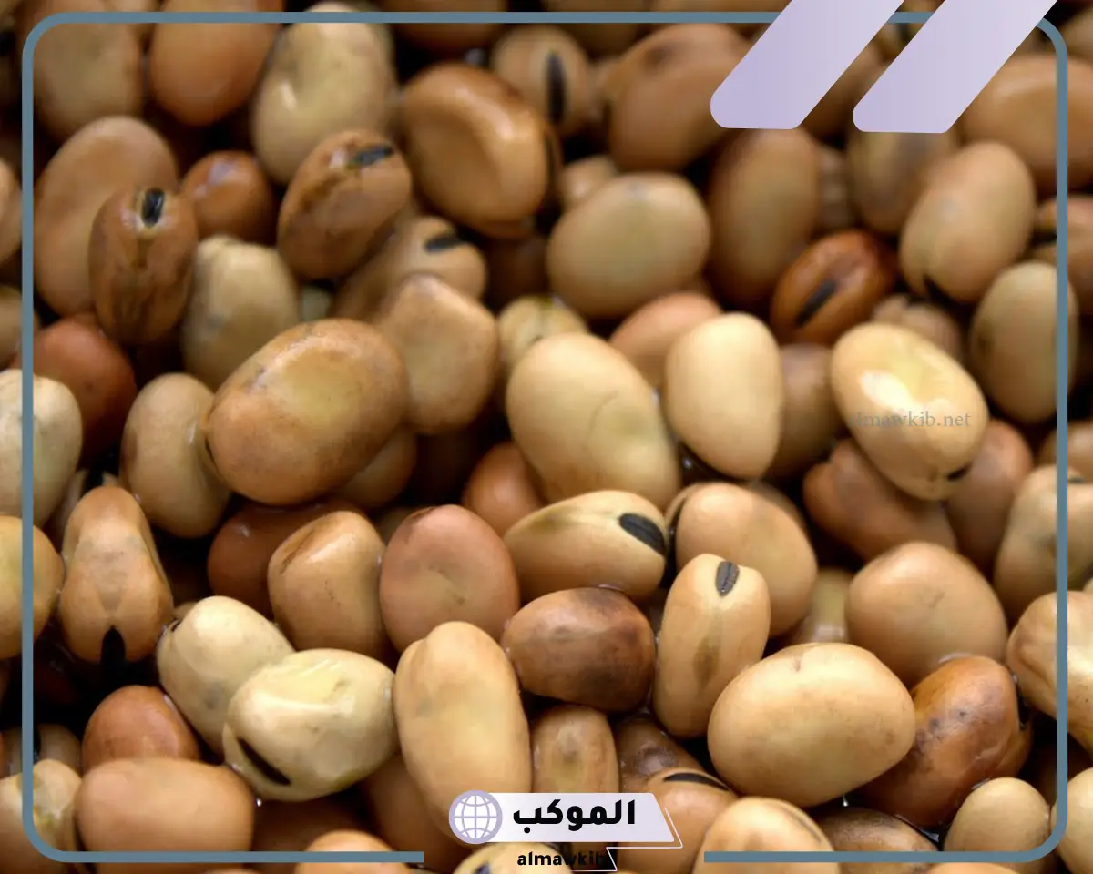 تفسير رؤية الفول في المنام لابن سيرين