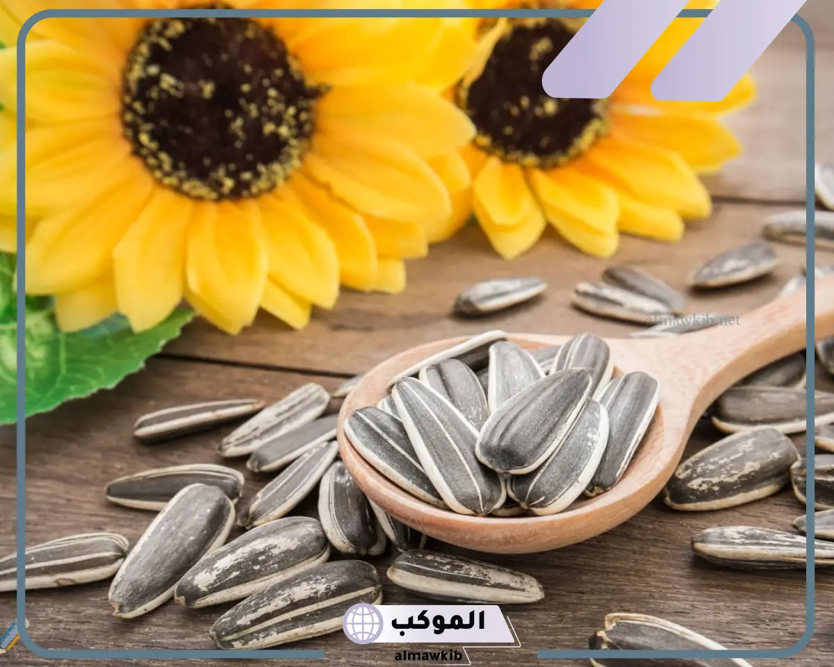 دلالات وتفسير رؤية بزر عباد الشمس في الحلم