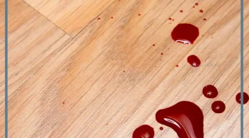 رؤية نزول دم الحيض للمتزوجة