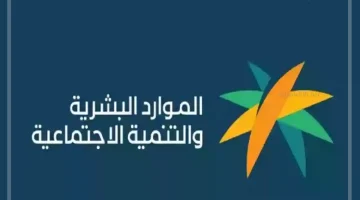 شروط الحصول على فرص الضمان