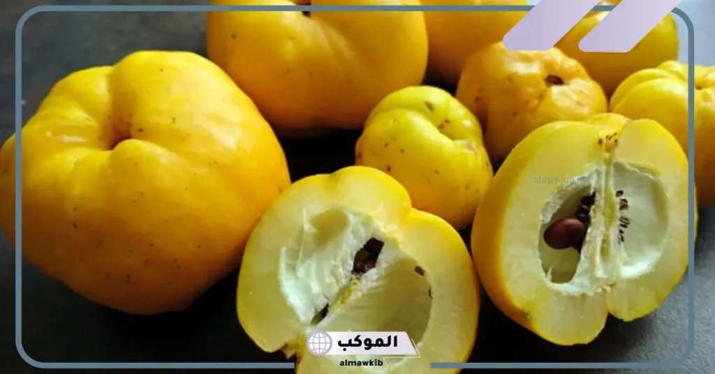 تجربتي مع السفرجل وانا حامل مفيد جدًا للجنين 6 أضرار السفرجل للحامل