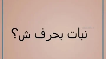 فاكهة بحرف ش