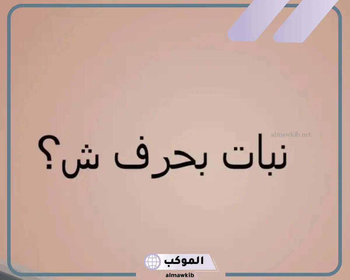 أفضل اكله بحرف الشين