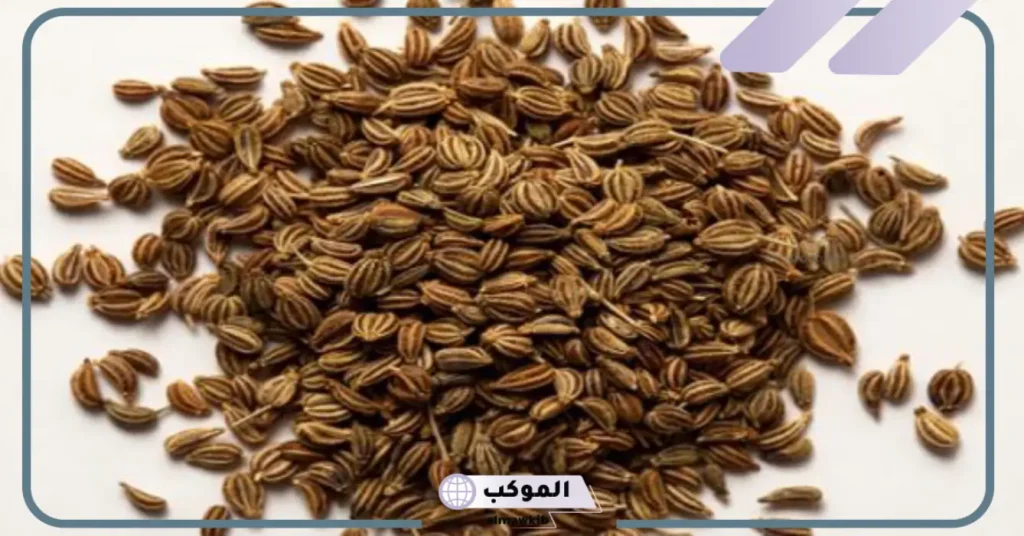 فوائد بذور الخلة للجنس