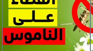 قتل الناموس والذباب